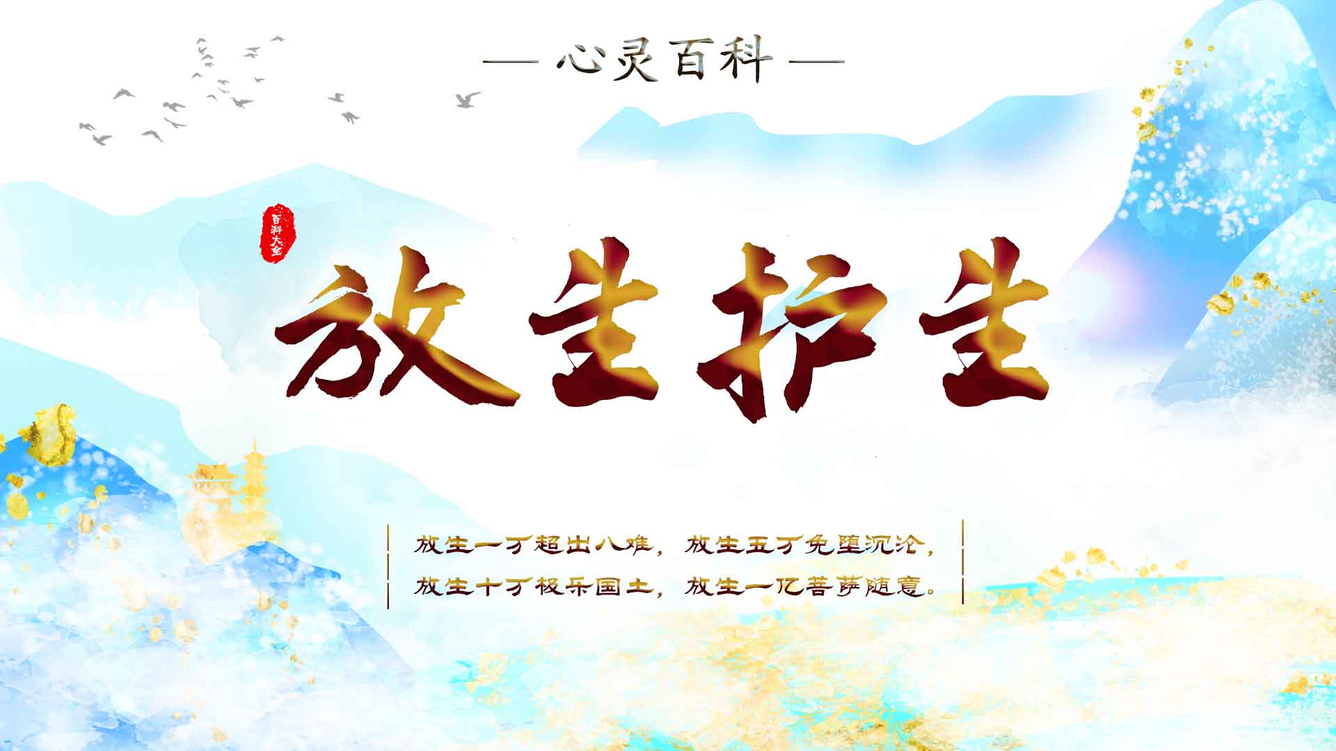 精彩速递.jpg